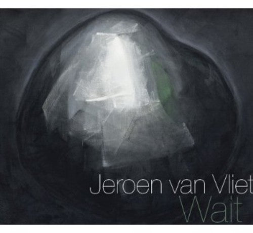 the album cover for Jeroen Van Vliet - Wait