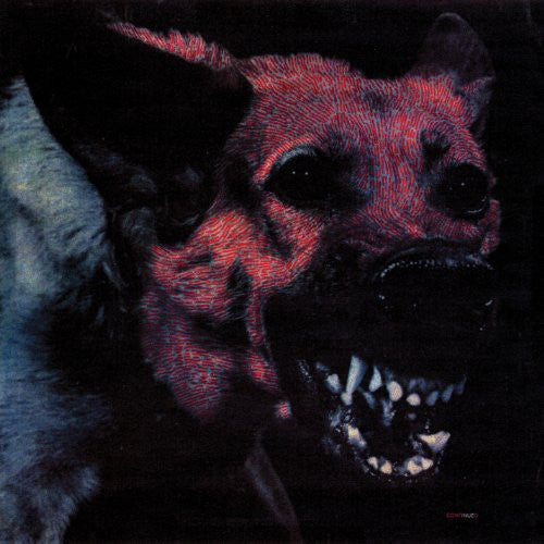 Protomartyr - Under Color of Official Right (Vinyl)