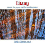 the album cover for Erik Simmons - Litany