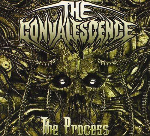 the album cover for The Convalescence - Convalescence : The Process