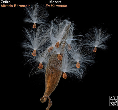 the album cover for Alfredo Bernardini - En Harmonie