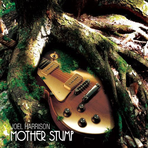 the album cover for Joel Harrison - Mother Stump