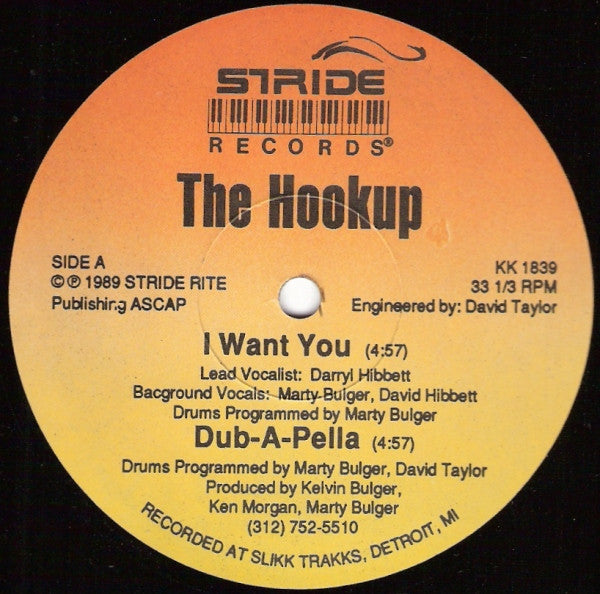 The Hookup : I Want You (12")