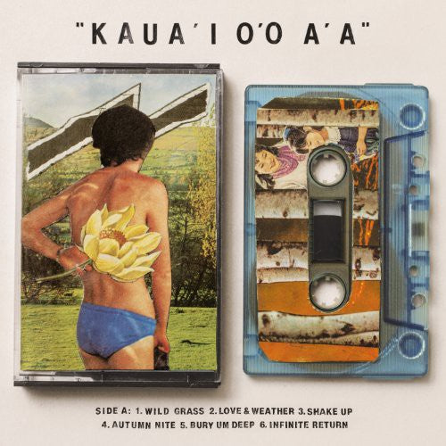 Gentle Friendly - Kaua'i O'O A'a (Vinyl)