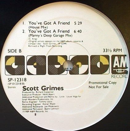 Scott Grimes : You've Got A Friend (12", Promo)