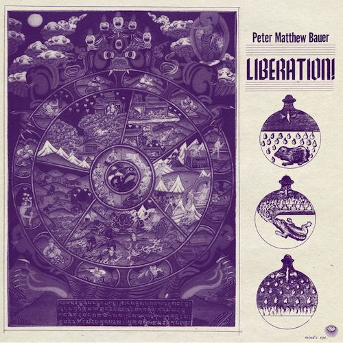 the album cover for Peter Matthew Bauer - Liberation [Vinyl]