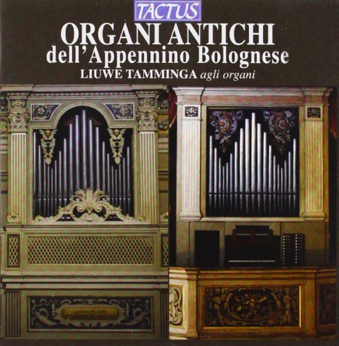 the album cover for Tamminga - Organi Antichi Dellappennino