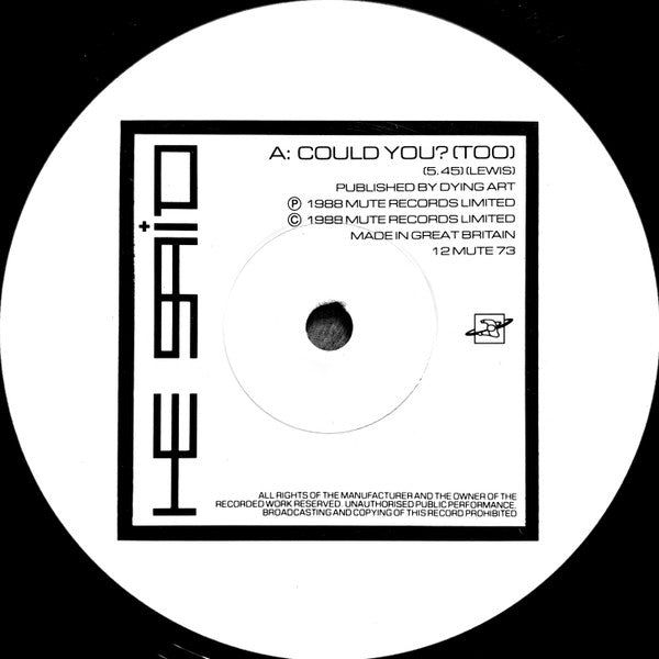 He Said : Could You? (12", Single)