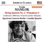 the album cover for Mamlok - Chamber Works