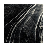 Lou Rogai : Cathedral (LP)