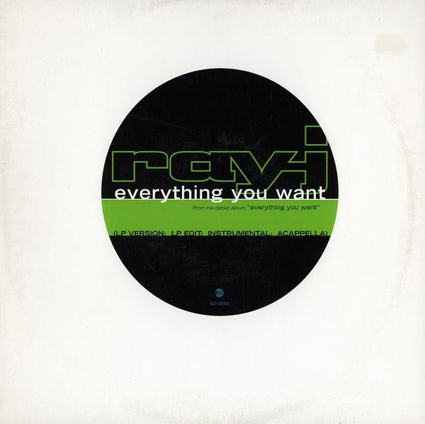 Ray J : Everything You Want (12", Promo)