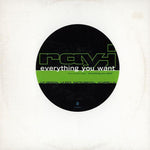 Ray J : Everything You Want (12", Promo)
