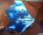 P.M. Dawn : The Bliss Album...? (Vibrations Of Love And Anger And The Ponderance Of Life And Existence) (2xLP, Album, RSD, Ltd, Ora)