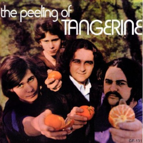 the album cover for Tangerine - The Feeling Of Tangerine