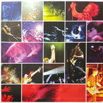 Pearl Jam : Live On Ten Legs (2xLP, Comp, Gat)