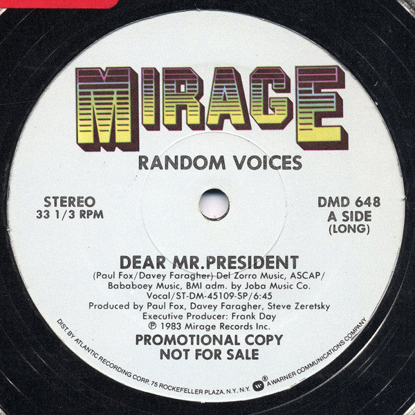 Random Voices : Dear Mr. President (12", Promo)