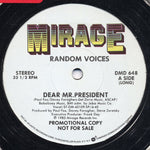 Random Voices : Dear Mr. President (12", Promo)