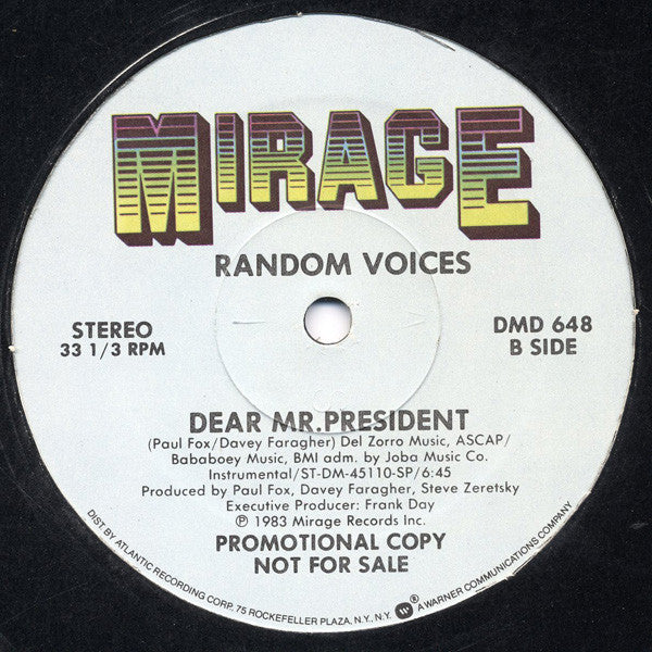Random Voices : Dear Mr. President (12", Promo)
