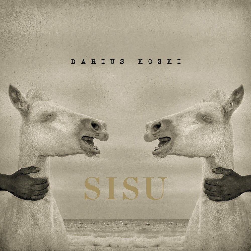 the album cover for Darius Koski - Sisu