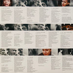 Fiona Apple : When The Pawn (LP, Album, Club, RE, RP, 180)