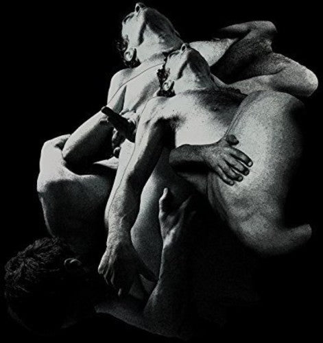 the album cover for Vessel - Punish Honey