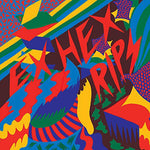 the album cover for Ex Hex - Rips
