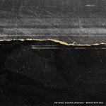 the album cover for The Rural Alberta Advantage - Mended With Gold [Vinyl]