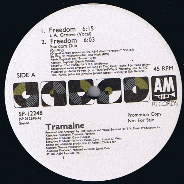 Tramaine Hawkins : Freedom (12", Promo)