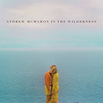 McMahon in the Wilde - Andrew McMahon in the Wilderness (Vinyl)