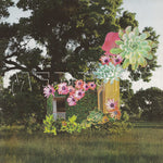 Medicine - Home Everywhere (Vinyl)