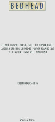 the album cover for Bedhead - Whatfunlifewas [Vinyl]