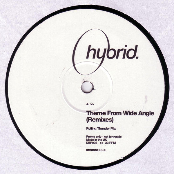 Hybrid : Theme From Wide Angle (Remixes) (12", Promo)