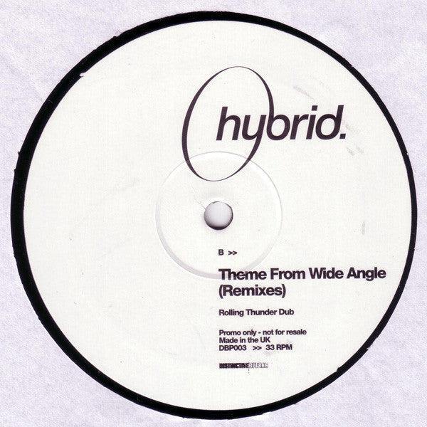 Hybrid : Theme From Wide Angle (Remixes) (12", Promo)
