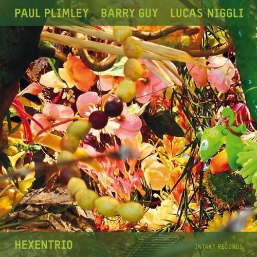 the album cover for Barry Guy - Hexentrio