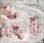 the album cover for Niggli - Spawn of Speed