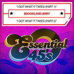 the album cover for Brooks - I Got What It Takes