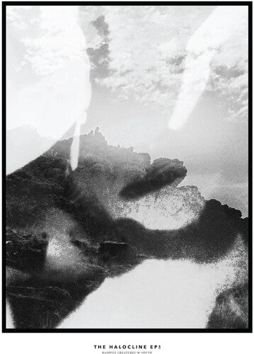 Hippo Campus - The Halocline EPs (レコード)