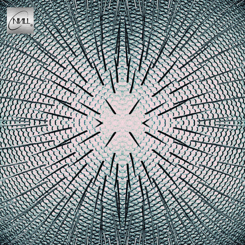 Null - Almost (ビニールレコード)