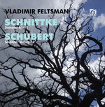 the album cover for Schnittke / Vladimir Feltsman - Sonata No. 1
