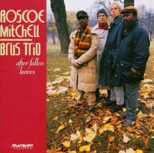 the album cover for Roscoe Mitchell - After Fallen Leaves (Spa)