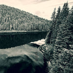 the album cover for Negura Bunget - Tau