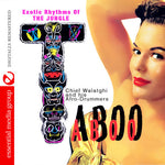 the album cover for Chief Walatghi & Afro-Drummers - Taboo: Exotic Rhythms Of The Jungle [Remastered]