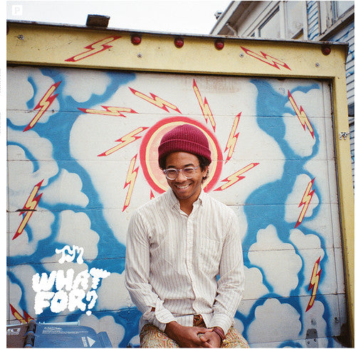 Toro y Moi - ¿Para qué? (Vinilo)