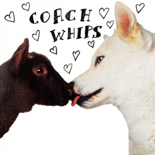 Coachwhips - Bangers Vs. Fuckers (Vinyl)