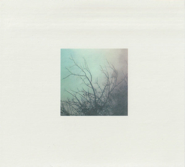 Roger Eno : The Skies, They Shift Like Chords (CD, Album)