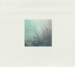 Roger Eno : The Skies, They Shift Like Chords (CD, Album)