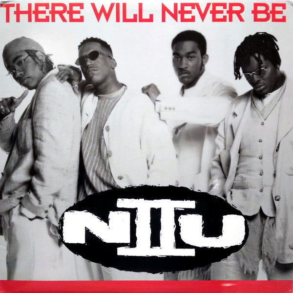 N II U : There Will Never Be (12")