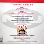 N II U : There Will Never Be (12")