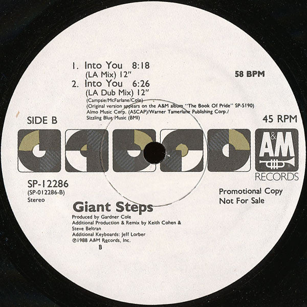 Giant Steps (2) : Into You (12", Single, Promo)