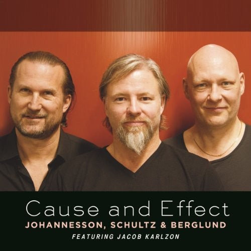 the album cover for Johannesson, Schultz - Cause & Effect